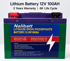 Nalibatt 12V 100Ah LiFePO4 Lithium Battery – 1280Wh Deep Cycle Solar Battery with Built-in BMS | 3 Years Warranty