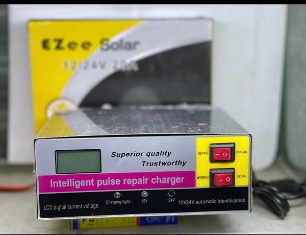 12V 24V 20A Automatic Pulse Repair Charger For All Batterys - EZEE20A