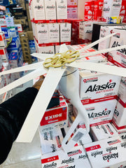 800W Wind Turbine 24V Horizontal Axis | Home Wind Power Generator