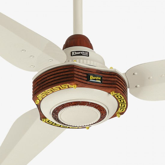 Tricon Model AC-DC Inverter Ceiling Fan