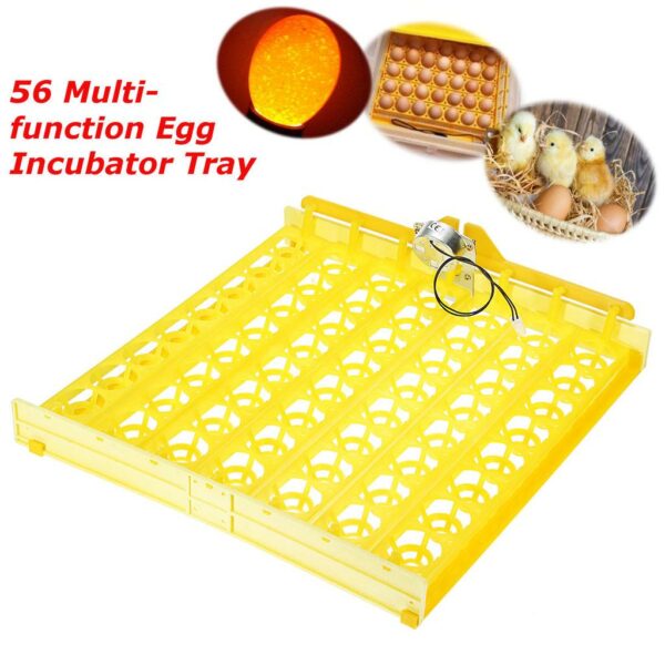 56 Eggs Turning Tray With A Turning Motor For Incubator In Pakistan My Store